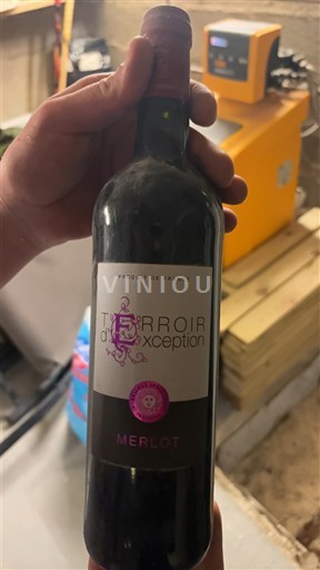 Languedoc y Rosellón País de Oc Terroir d'Exception Merlot Sin añada
