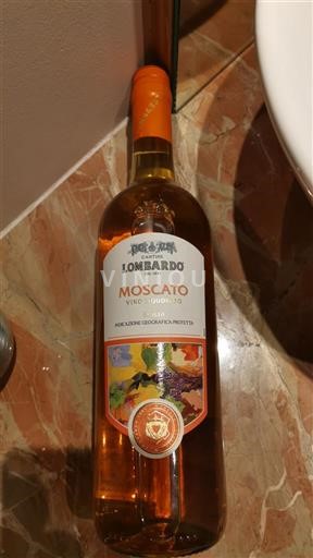 Sicilia Alcamo Lombardo Không niên vụ