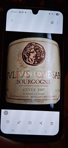 Burgundy Domaine Luc Sorin Julius Caesar 1987