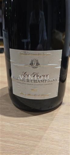 Loire-dalen Saumur-Champigny Les Poyeux 2013