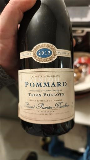 Borgoña Pommard Pascal Prunier-Bonheur Trois Follots 2012