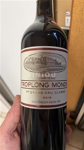 Vine Rouge sec Château Troplong Mondot 2019 Frankrig Bordeaux Saint-Émilion Grand Cru AOC Premier Grand Cru Classé