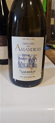 Valle del Loira Saumur Domaine S Amandiers La Gaillarde 2022
