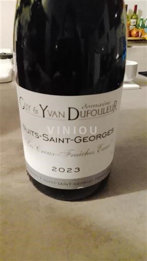 Burgundy Nuits-Saint-Georges Domaine Guy & Yvan Dufouleur Les Crots-Traiches Eau 2023