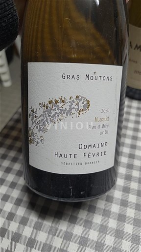 Loire-dalen Ikke specificeret Domaine Haute Févrie Gras Moutons 2020