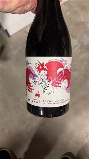 Vale do Ródano Côtes-do-ródano-villages Domaine S Amiel Le Coq Volant 2022