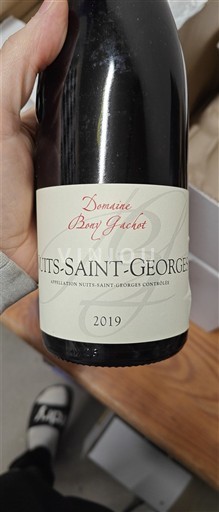 Borgoña Nuits-Saint-Georges Domaine Berth Guchet 2019