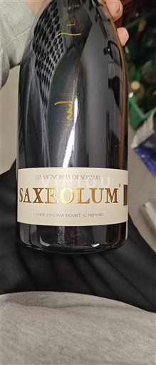 Alpen en Rhônevallei Rhodanische Heuvels Les Vignobles de Seyssuel Saxeolum Niet-geïntegreerd