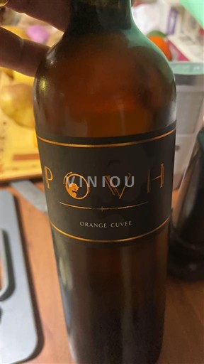 Primorska Povh Orange 2021