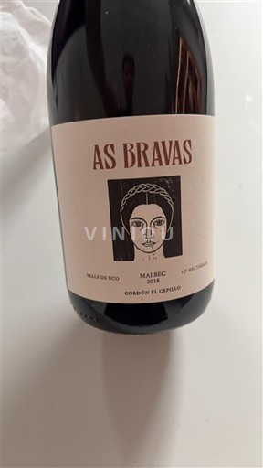 Mendoza Thung lũng Uco Cordon El Cepillo As Bravas 2018