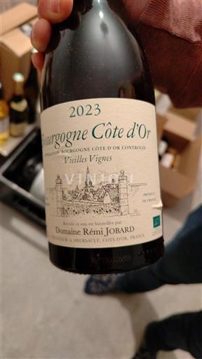 Viner Blanc sec Vieilles Vignes Domaine Rémi Jobard 2023 Frankrike Bourgogne Bourgogne Côte d'Or AOC