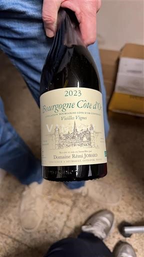 Bourgogne Bourgogne Côte d'Or Domaine Rémi Jobard Vieilles Vignes 2023