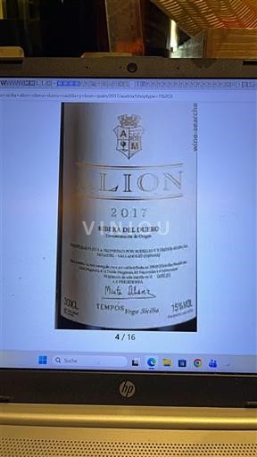 Castilia și León Ribera del Duero Alión 2017
