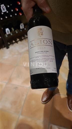 Castilia și León Ribera del Duero Alión 2017