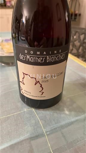 Jura Côtes-du-Jura Domaine S Marnes Blanches Les Fouilles 2023