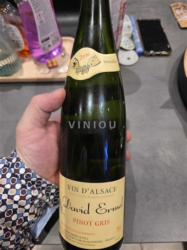 Alsacia David Ermel 2016