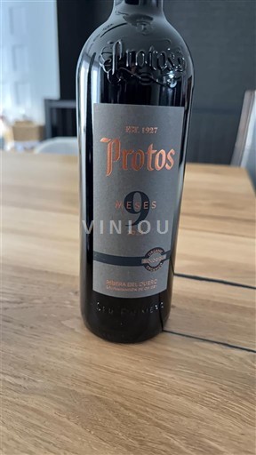 Castilien og León Ribera del Duero Protos 9 Meses 2020