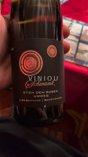 Baden Alex Schwank Stich den Buben Umweg 2022