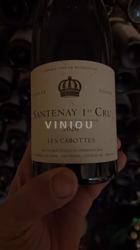 Burgundsko Santenay Premier Cru Domaine Taupenot-Merme Les Cabottes 2020