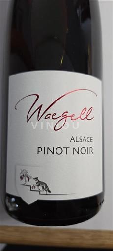 Alsace Pinot Noir Waegell 2024