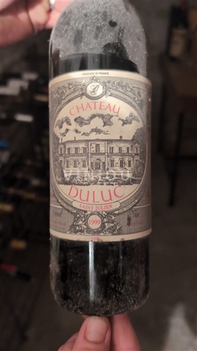 Bordéus Saint-Julien Château Luc 1999