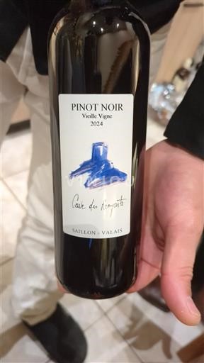 Valais Nespecifikováno Cave des Tilleuls Vieille Vigne 2024