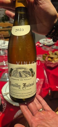 Borgoña Pouilly-fuissé Domaine Pouilly 2023