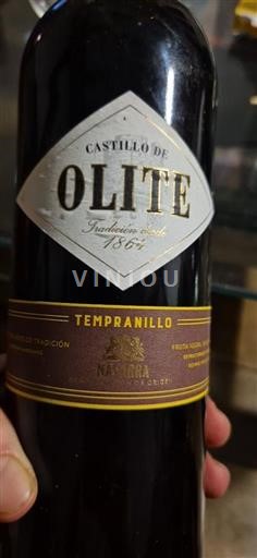 Navarra Castillo de Olite 2018