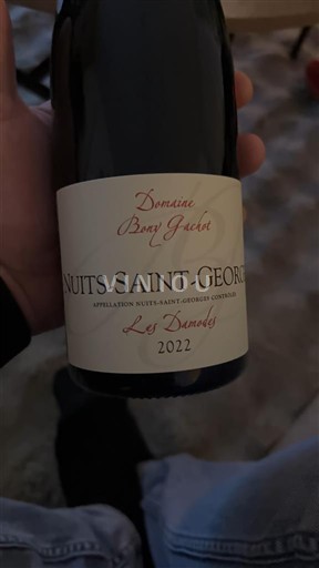 Burgundija Nuits-Saint-Georges Domaine Bang Jaeck Les Damodes 2022