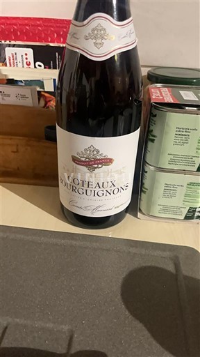 Burgundy Coteaux Bourguignons Comtesse de Marion Non-Vintage