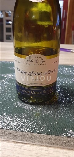 Dolina Loare Maison Colin Seguin Cloître Saint-Martin 2021