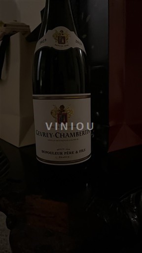 Burgundsko Gevrey-Chambertin Dufouleur Père & Fils 2023