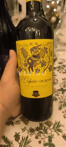 Sudoeste Côtes de Gascogne Burose L'Odyssée 2021