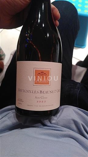 Burgundy Savigny-lès-Beaune Premier Cru Domaine Ardhuy Aux Clous 2022