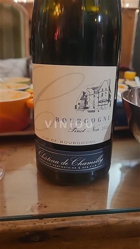 Bourgondië Bourgogne Château Chamilly Pinot Noir 2022