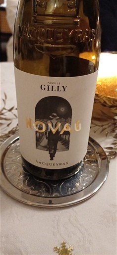 Vale do Ródano Vacqueyras Famille Gilly Novae Não Sazonado