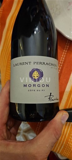 Vini Rouge sec Côte du Py Laurent Perrachon et Fils Non millésimé Francia Beaujolais Morgon AOC