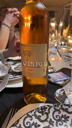 Sudoeste Côtes de Gascogne Domaine Loc 2008