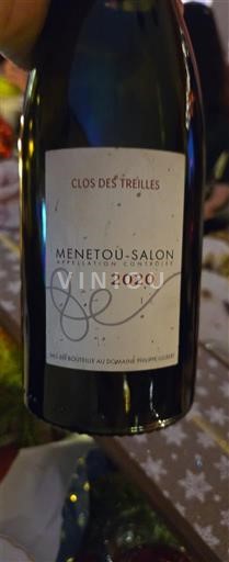 Loire-dalen Menetou-Salon Clos des Treilles 2020