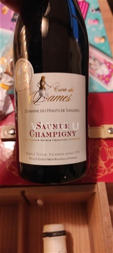 Loire-dalen Saumur-Champigny Domaine S Hauts de Sanziers des Dames 2024