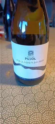 Langvedok Minervois Domaine Pujol Sur la Pointe des Pieds 2024