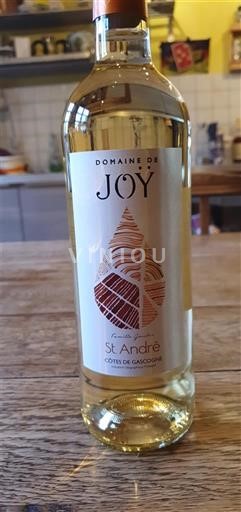 Sud-Ouest Côtes de Gascogne Domaine Joy St André Non Millésimé