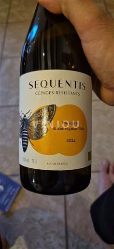 Loire-dalen Ikke specificeret Sequentis Cépages Résistants Muscaris & Souvignier Gris 2024