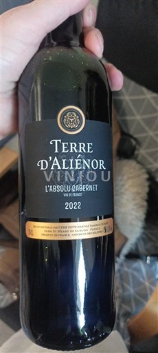 Bordeaux Terre d'Aliénor L'Absolu Cabernet 2022