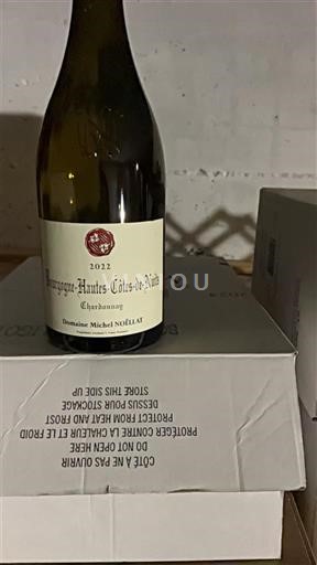 Borgogna Hautes Côtes de Nuits Domaine Michel Noëllat Chardonnay 2022