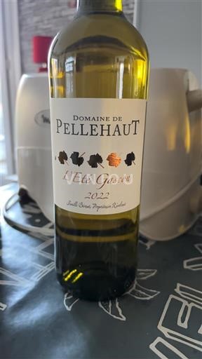 Tây Nam Côtes de Gascogne Domaine Pellehaut L'Été Gascon 2022