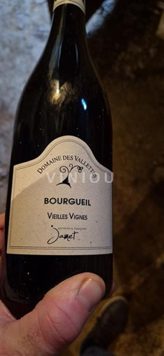 Údolí Loiry Bourgueil Domaine S Vallettes Vieilles Vignes 2021