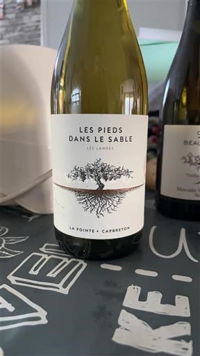 Sudoeste No especificado La Pointe Capbreton Les Pieds dans le Sable 2022