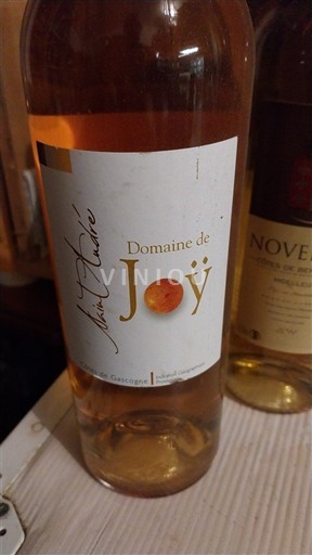 Sud-Ouest Côtes de Gascogne Domaine Joy Saint André Non Millésimé