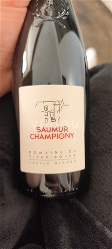 Loire-dalen Saumur-Champigny Domaine Vieux Bourg Ikke årgangsbestemt